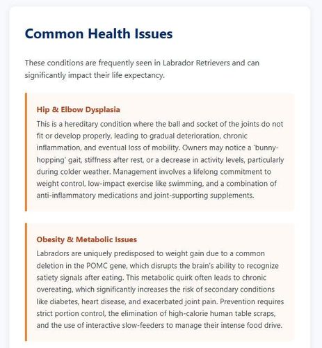 BreedMetrics.com logo