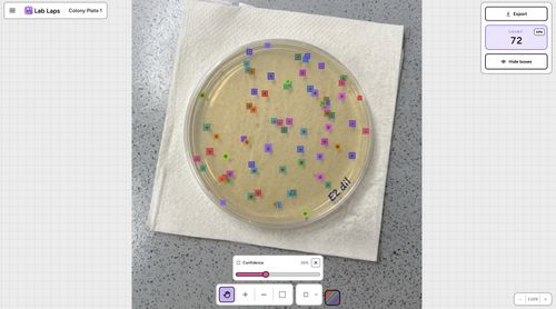 image of Lab Laps