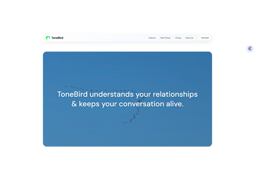 image of ToneBird.ai